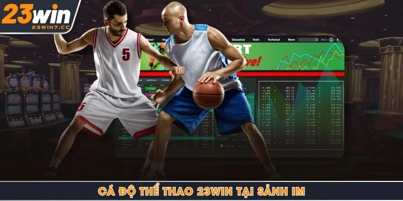 Cá độ thể thao 23Win tại sảnh IM