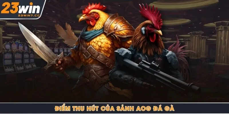 Điểm thu hút của sảnh AOG đá gà