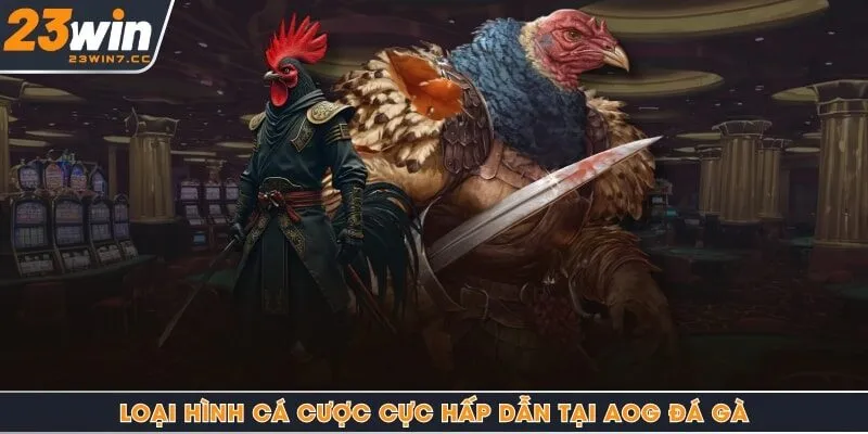 Loại hình cá cược cực hấp dẫn tại AOG đá gà