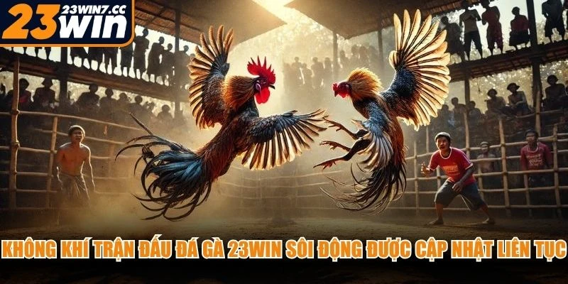 Không khí trận đấu đá gà 23WIN sôi động với diễn biến được cập nhật liên tục