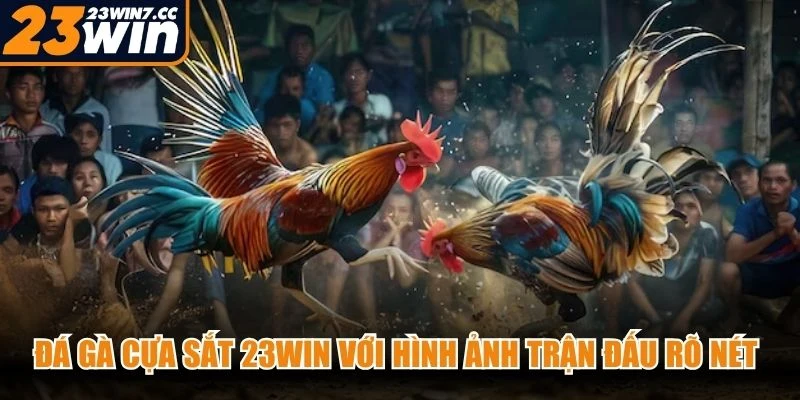 Đá gà cựa sắt 23WIN với hình ảnh trận đấu rõ nét và không khí thi đấu sôi động
