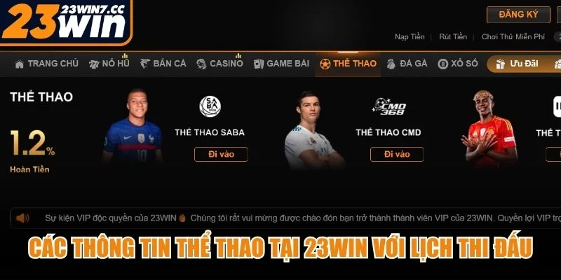 Các thông tin thể thao tại 23WIN với lịch thi đấu, tỷ số và diễn biến rõ ràng